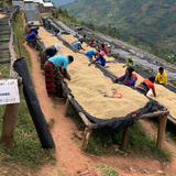Taba - Café du Rwanda BIO